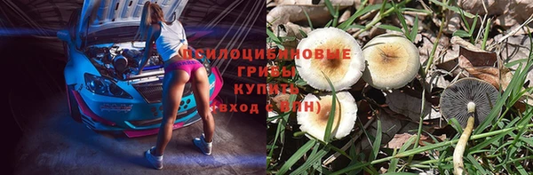 ECSTASY Белая Холуница