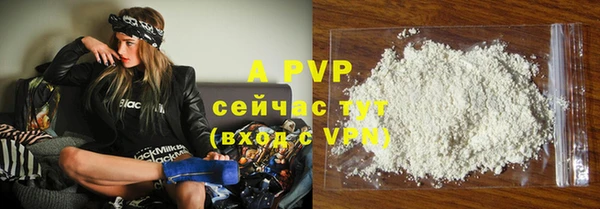 PSILOCYBIN Нея