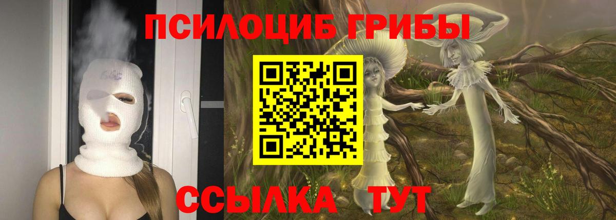Галлюциногенные грибы прущие грибы  Вход с VPN  Благовещенск 