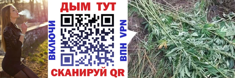 Бошки Шишки конопля  Благовещенск 